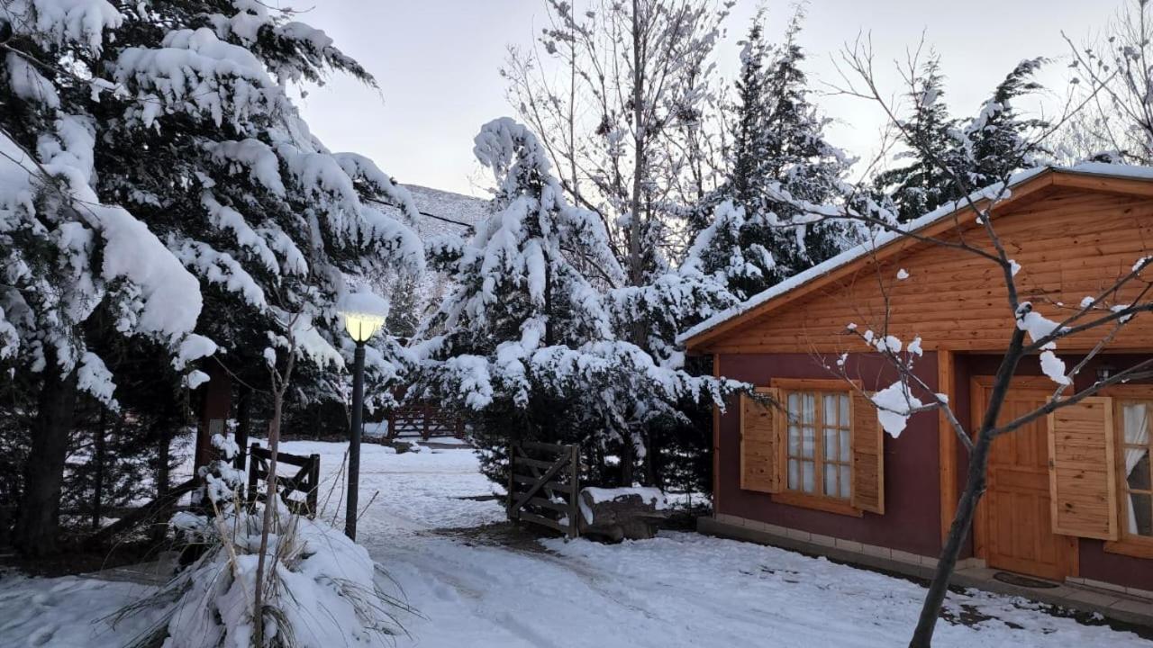 Cerro Indio Villa Potrerillos Bagian luar foto